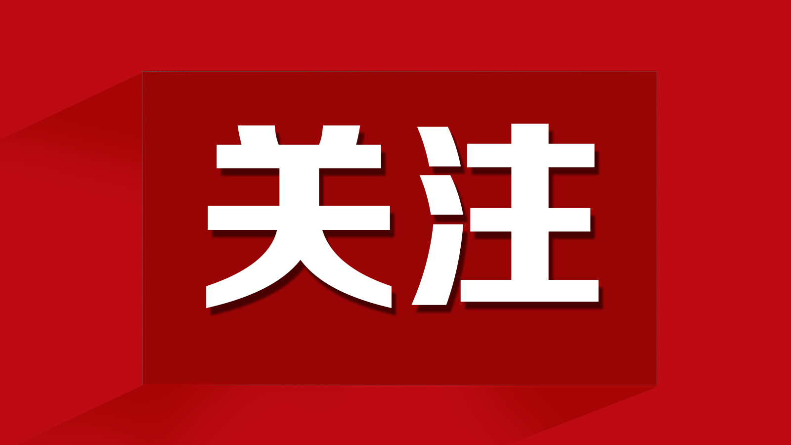 北海养犬有规矩 合力治理“不掉链”