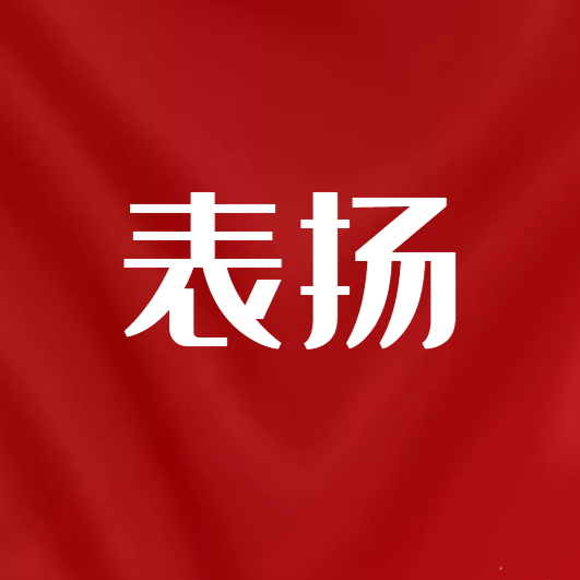 荣获全国“村舞”一等案例