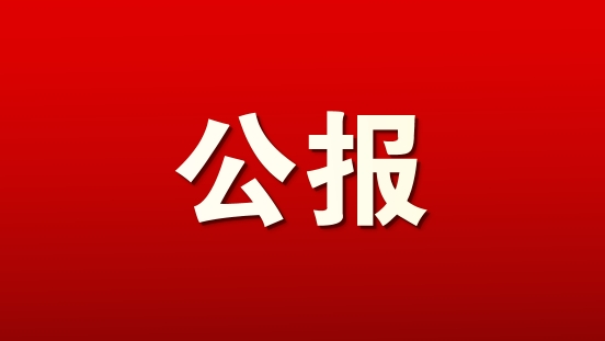 中国共产党北海市第十二届委员会第九次全体会议公报